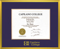 Satin gold metal diploma frame with custom gold foil embossing - Horizontal