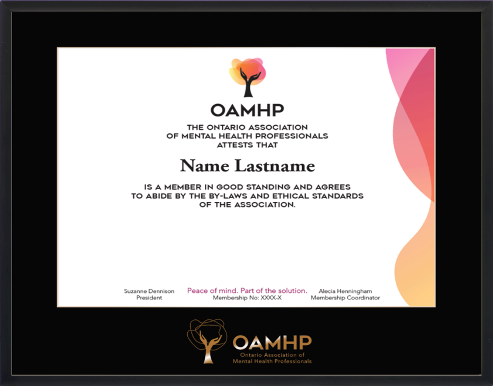 Satin black metal frame with single mat board & embossed logo. (OAMHP-SB1315-BLK)