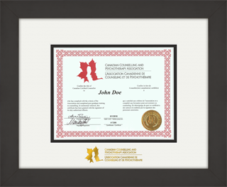 HD1003BL - Modern Contemporary Black with double mat board and gold CCPA foil embossed logo